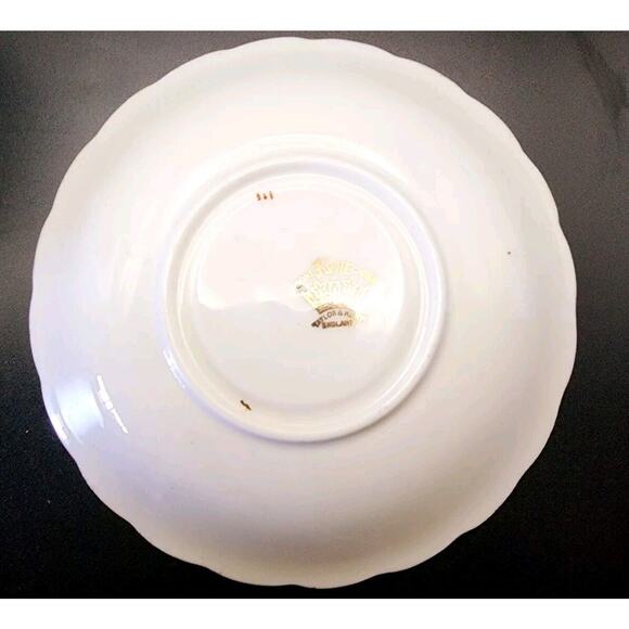 VTG Taylor & Kent Scottish Clan Cameron Lusterwear Tea Cup Saucer Bone China - Picture 7 of 16